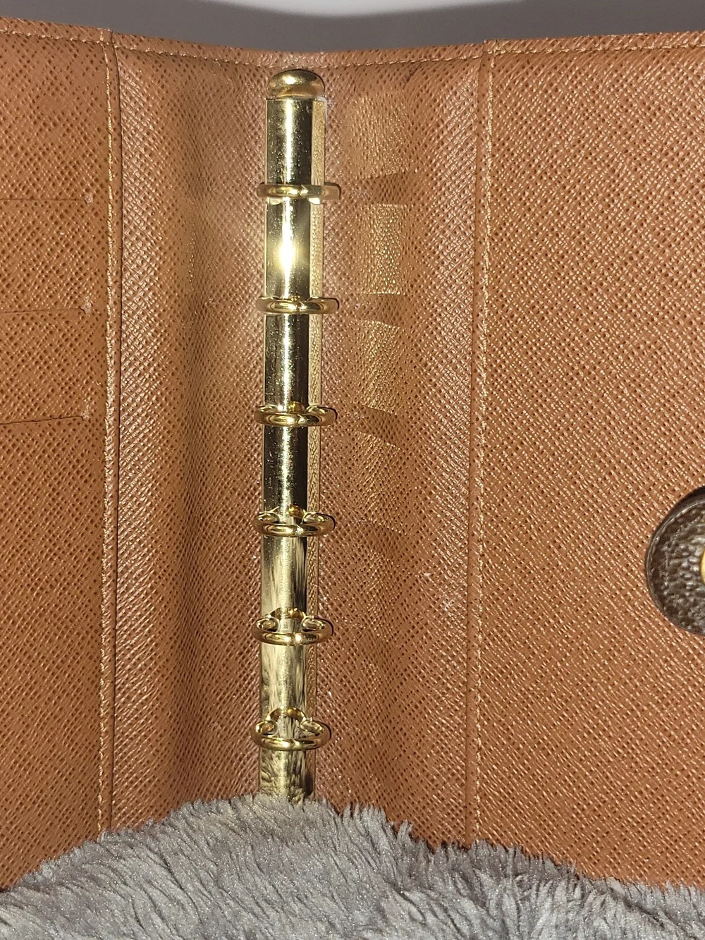 Louis Vuitton classic louis